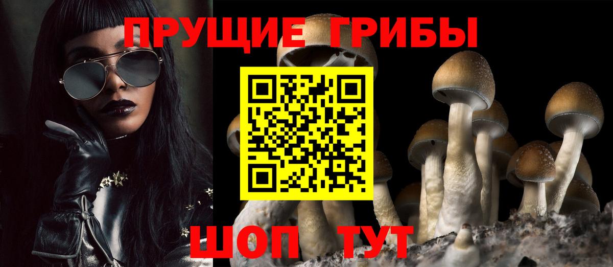 Псилоцибиновые грибы Psilocybine cubensis  Вход с VPN  Нурлат 
